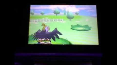 Shiny Phanpy after 220 FS Encounters