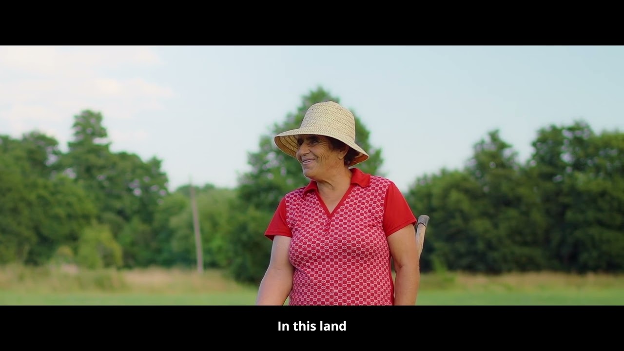 Visite Moimenta da Beira