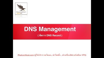 [DirectAdmin] การจัดการ DNS Record บนระบบโฮสติ้ง (DNS Management) - PhalconHost