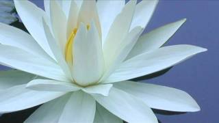 Chopra Center Meditation