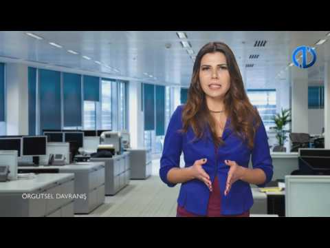 ÖRGÜTSEL DAVRANIŞ - Ünite 3 Konu Anlatımı 2