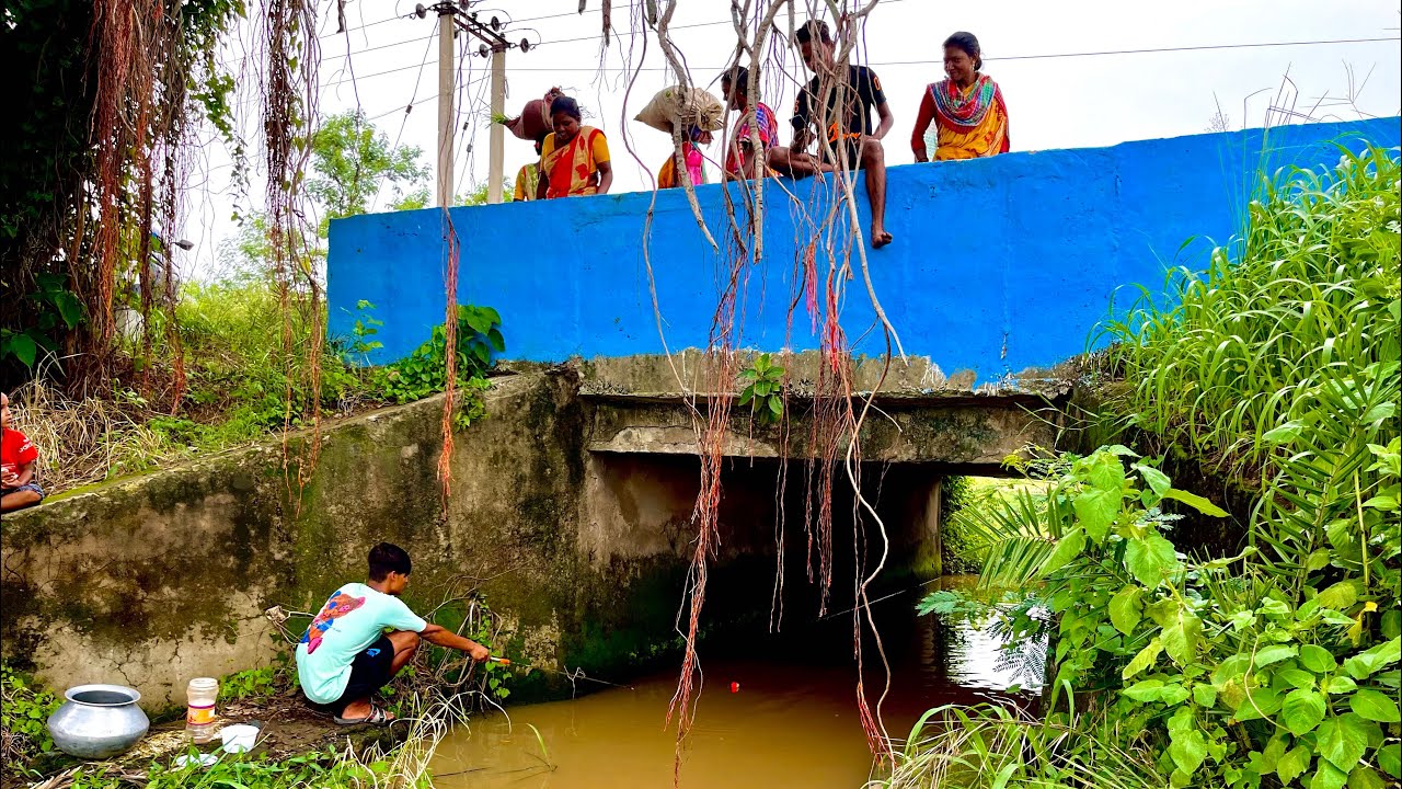Fishing Video😯 The fun of fishing with a hook in the village canal is