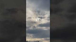 IMG 3111