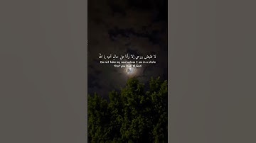 راحه نفسيه القران الكريم عبد الرحمن مسعد 🥹❤ #funny #السعودية #اكسبلور #لايك #ستوريات #متابعه