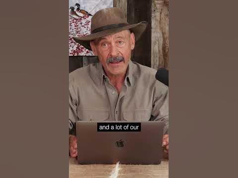 Rabbit Hunting - Where do Cottontails thrive? - YouTube