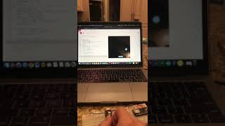 Pong through Arduino Potentiometer