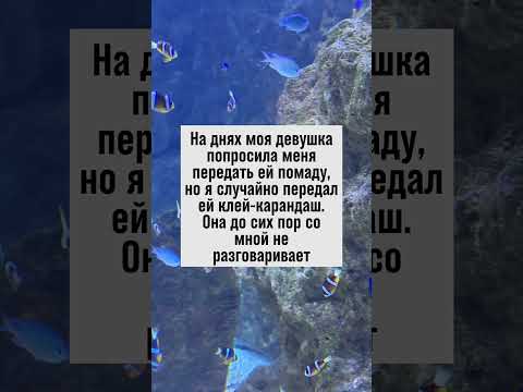 Как я случайно испортил день девушке. #анекдот #отношения