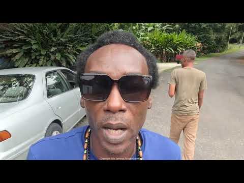 Search for The Historic Ipswich Sugar Plantation Ruins in St Elizabeth Jamaica (Episode 1 Series 2)