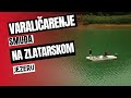 Varaličarenje smuđa na Zlatarskom jezeru - UŽIVO SA VODE -