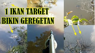 5 Kemunculan ikan Gurame Babon Sebelum di eksekusi bikin emosi bagi yang melihatnya