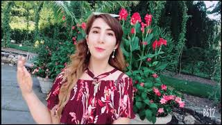 Америкадаги ўзбекистонликлардан селфи байрам табриги