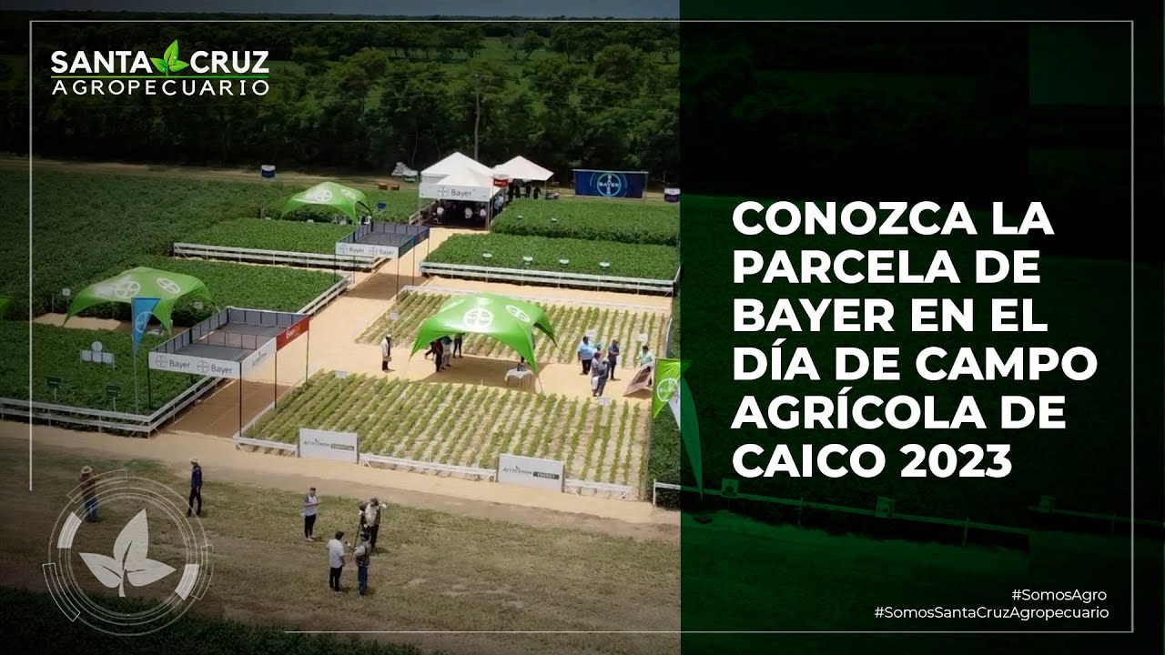 CONOZCA LA PARCELA DE BAYER EN EL DÍA AGRÍCOLA DE CAICO 2023 - YouTube