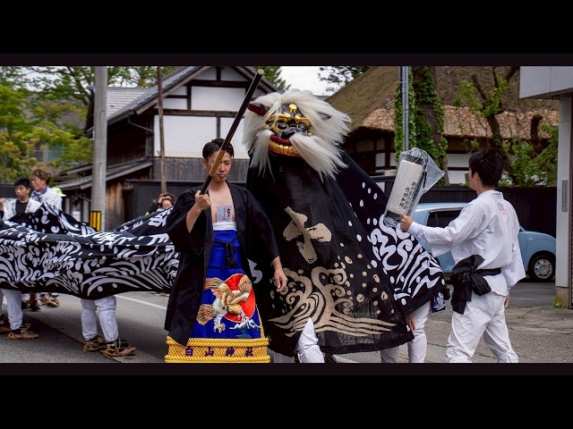 十日町 白山神社 令和8年宵宮祭2 長井の黒獅子 Nagai's black lion