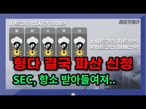   비트코인 실시간 헝다 파산 신청 SEC 중간항소 승인 비트 하락 8월 18일 아침 비트코인 비트코인실시간 이더리움 리플 도지코인 차트분석