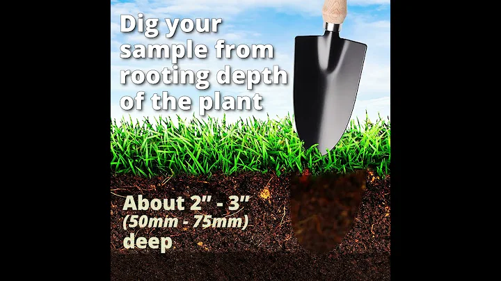 How to take a soil sample for a soil analysis