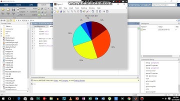 Matlab: 2-D Pie Model plot