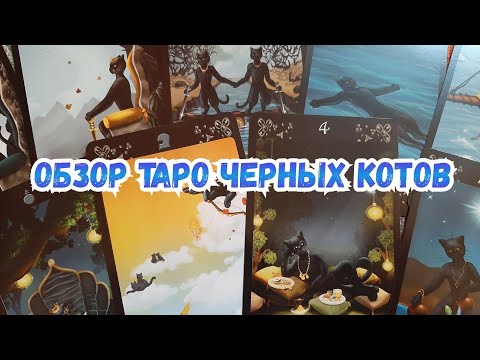 ОБЗОР ТАРО ЧЕРНЫХ КОТОВ