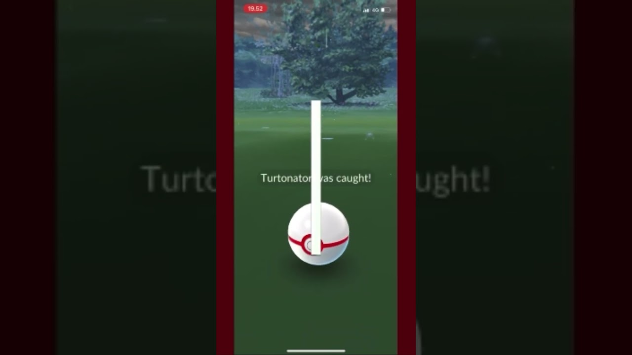 My first turtonator raid