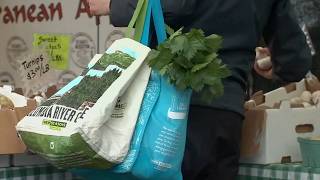 FDA investigates nearly a dozen foodborne illness outbreaks