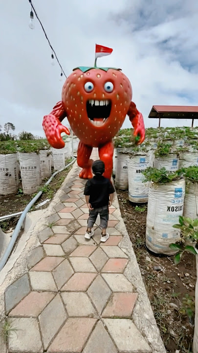 Main main ke kebun stroberi eh ternyata ada monsternya