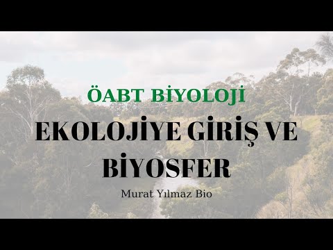 Video: Biyosfer ne zaman oluştu?