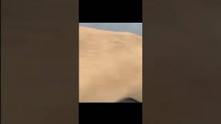 Yarın Gel Motor Olarak Işe Başla.