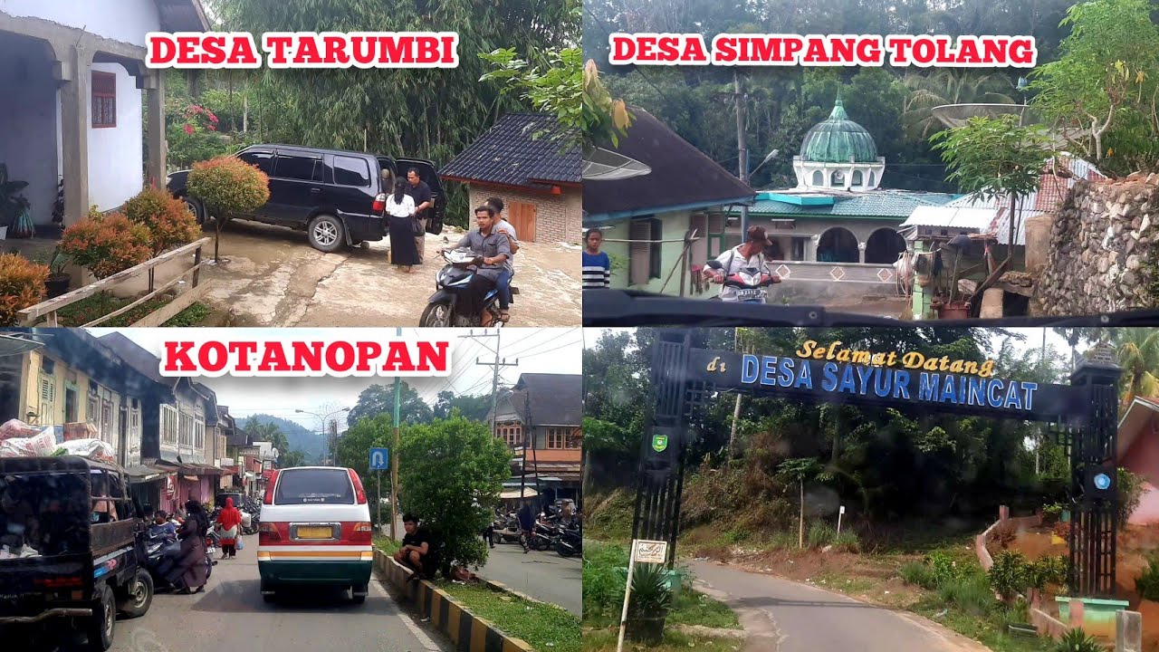 Kotanopan Ke Sayur Maincat Simpang Tolang Tarumbi Mandailing Natal