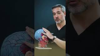 Living with chronic migraines?