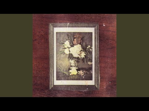 Cat Power — Top Expert