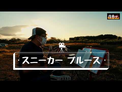 ヒゲトロ監督 スニーカーブルース ウクレレVer