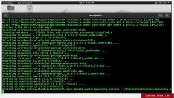 How To Install OpenResty Web Platform on Ubuntu 20.04