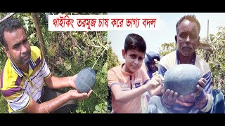 তরমুজ চাষ করে অধিক লাভবান কৃষক //তরমুজ চাষ পদ্ধতি// Watermelon/Taramuja fortunes by cultivating
