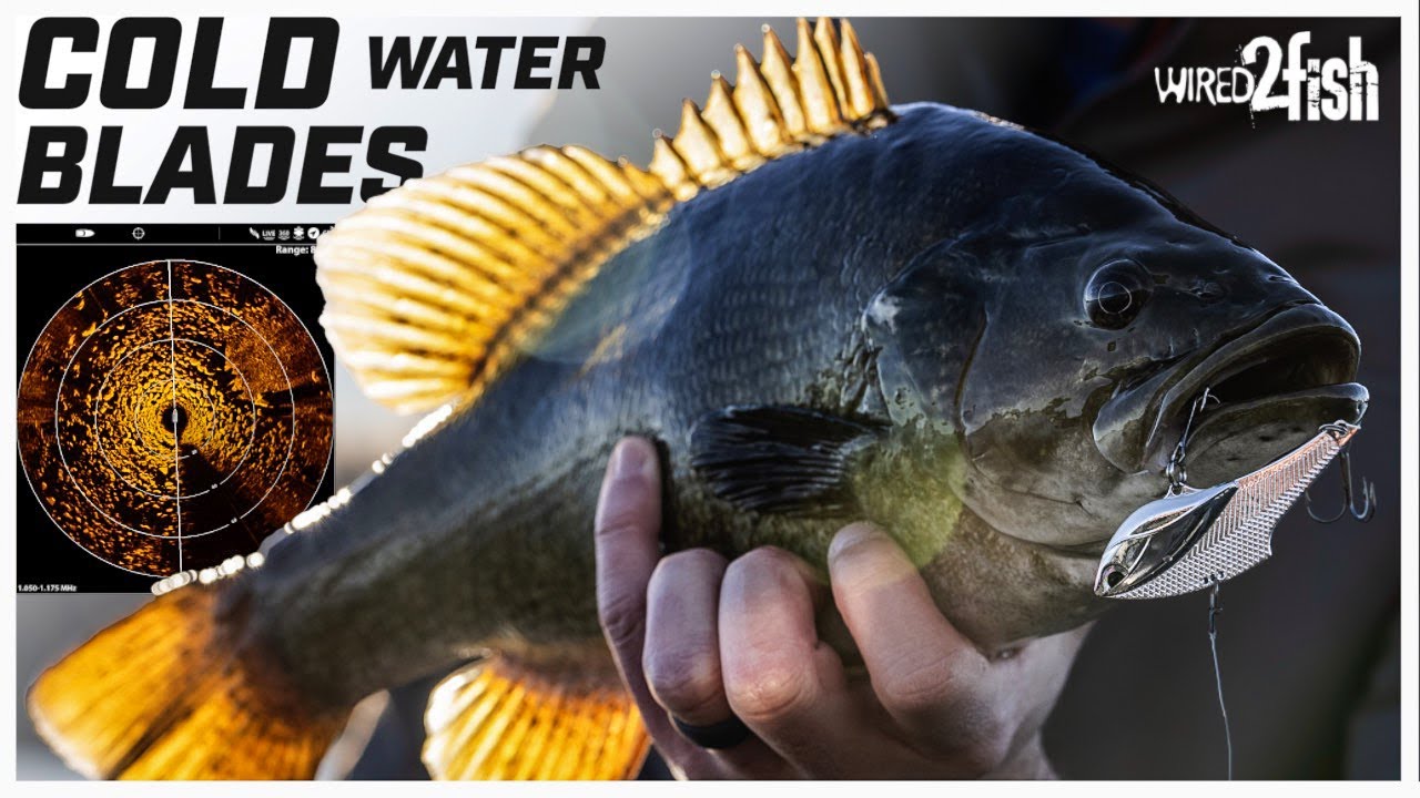Blade Bait Techniques for Winter Smallmouth Bass YouTube