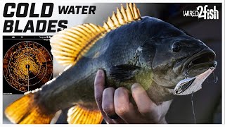 Blade Bait Techniques For Winter Smallmouth B