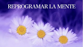 Meditación para Terminar el Día