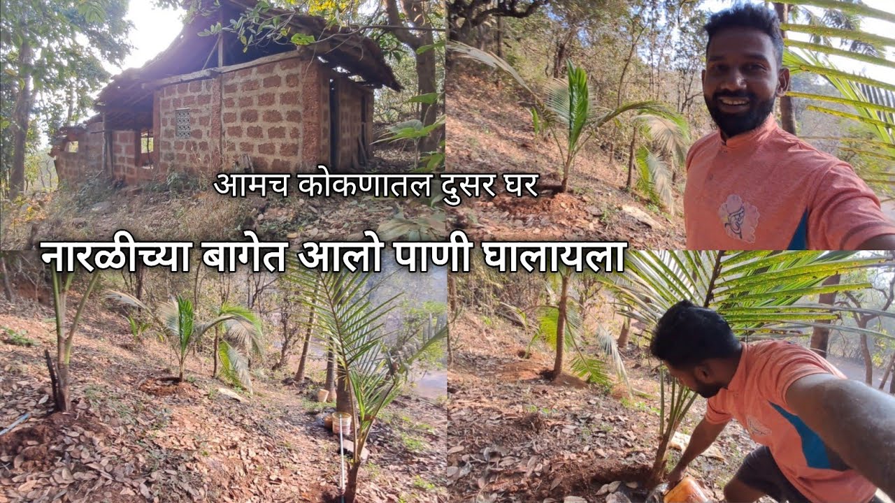 नारळीच्या बागेत आलो पाणी घालायला l आमच कोकणातल दुसर घर 🏡 @kokancharamesh8120  #myhome #kokan 