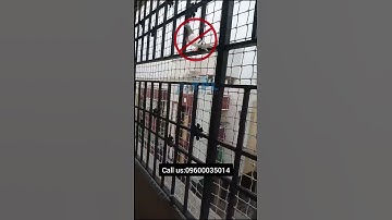 Premium #Bird Netting Services in Chennai – YPL Safety Nets for Pigeons & More