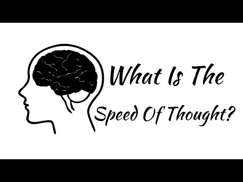 What Is The Speed Of Thought?