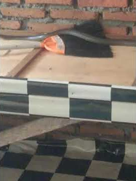 Wahai ular kenapa engkau mengganggu aq