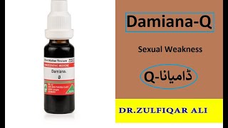 Damiana | Action | Dosage | Explained in Urdu/Hindi