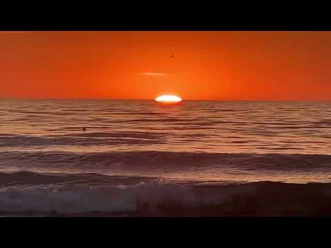 سورة الشمس البشير قاسمي