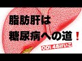 脂肪肝を放置すると糖尿病に‼️