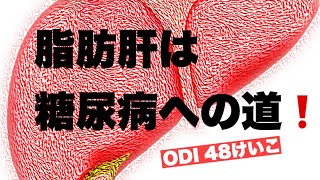 脂肪肝を放置すると糖尿病に‼️