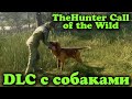 Собаки ищейки в игре theHunter: Call of the Wild