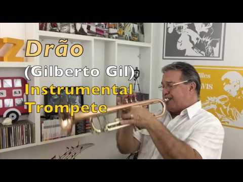 Drão Gilberto Gil Instrumental Trompete