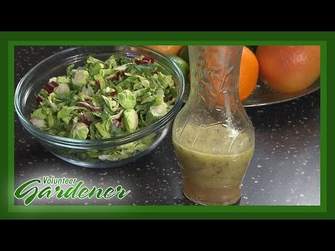 Citrus Dressing | Volunteer Gardener