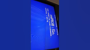 SEGA NAOMI NetDimm Update 2.13 - 3.17