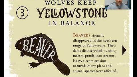 Ecology: Trophic Cascades and Keystone Species