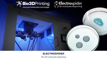 Electrospider, the 3D multiscale bioprinting