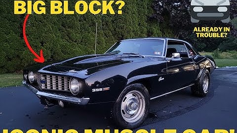 Got Myself a Muscle Car! 1969 Camaro Added to the Fleet!